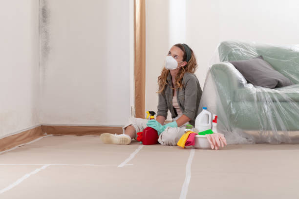 Reliable Attic Mold Remediation contractor in Watertown, MN by 24 Hour Mold Removal